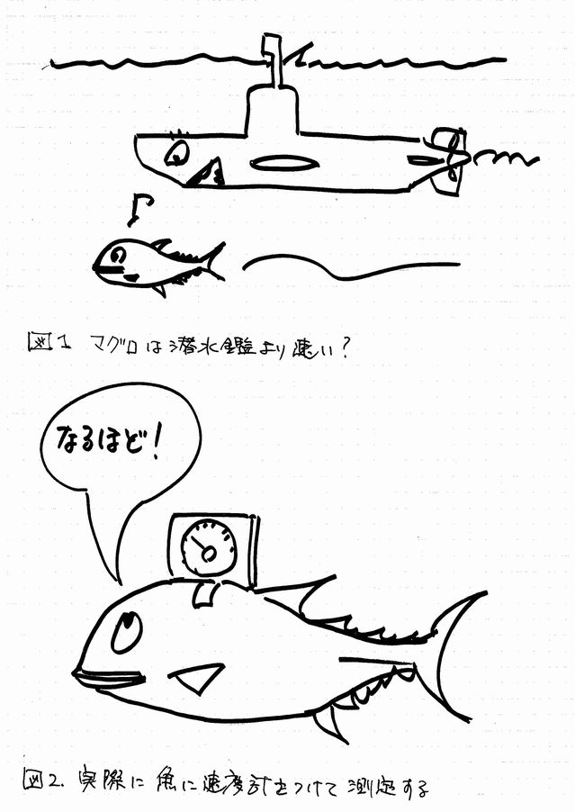 虫の眼 魚の眼 鳥の眼 第17回 マグロは時速８０ｋｍで泳げるか その1 日本カイゼンプロジェクト